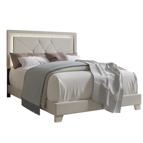 Bash Bed Collection in Fog