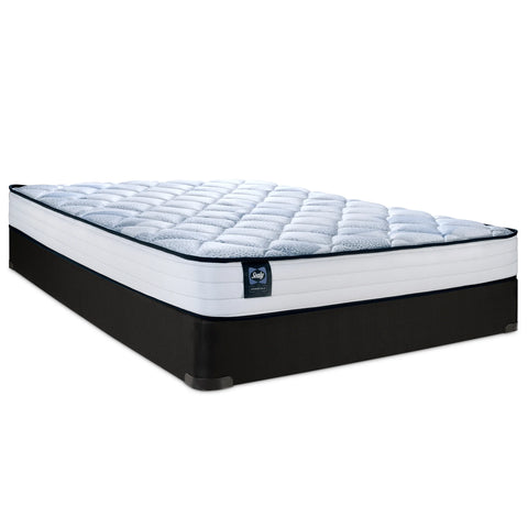 Essentials Alfie 8" Foam Medium Tight Top Mattress
