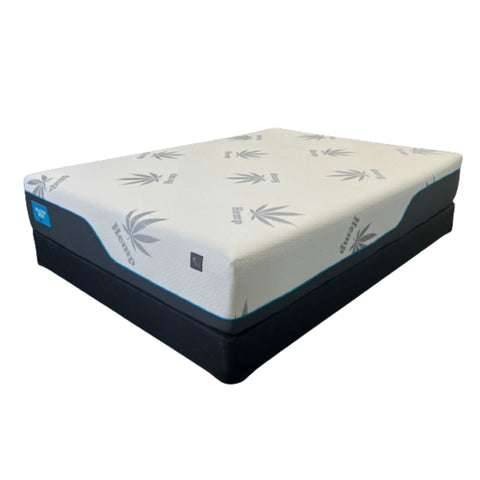 Healthy Bed Rx2 Mattress Collection